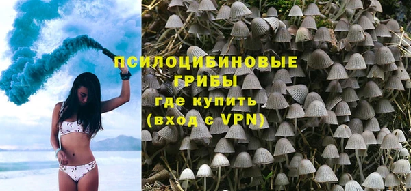 синтетический гашиш Няндома