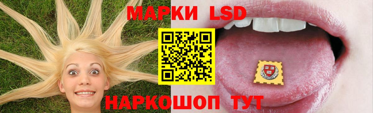 Электрогорск  ЛСД экстази ecstasy  LSD-25 экстази ecstasy  mega сайт  Вход с VPN 