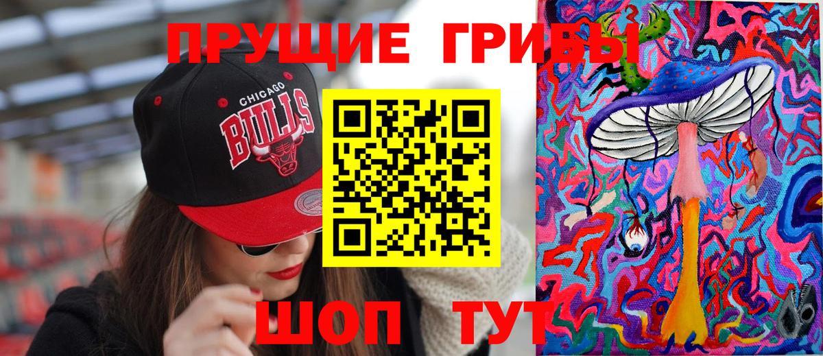 Галлюциногенные грибы прущие грибы Электрогорск