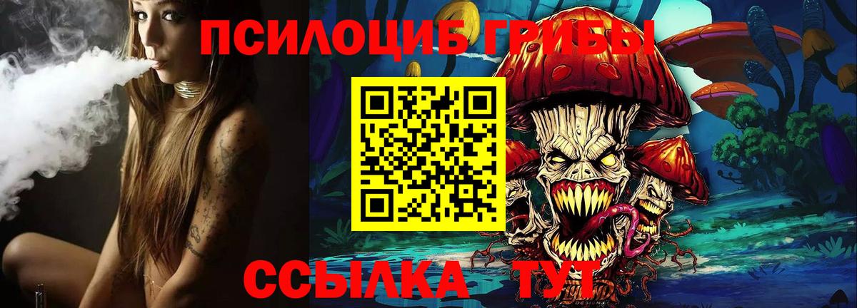 Псилоцибиновые грибы Magic Shrooms  наркотики  Электрогорск  Галлюциногенные грибы MAGIC MUSHROOMS 