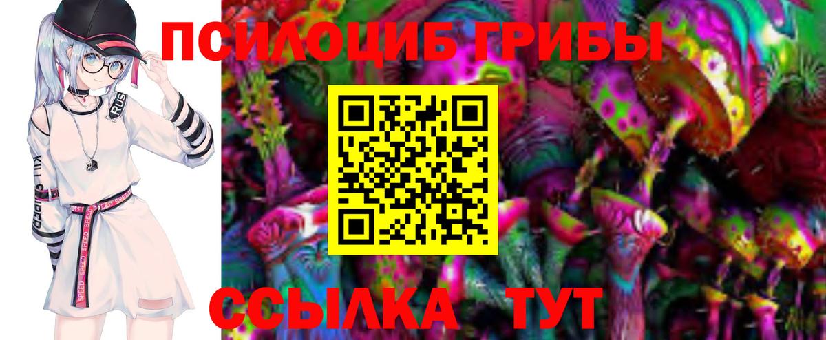 Электрогорск  закладки  Вход с VPN  Псилоцибиновые грибы ЛСД 