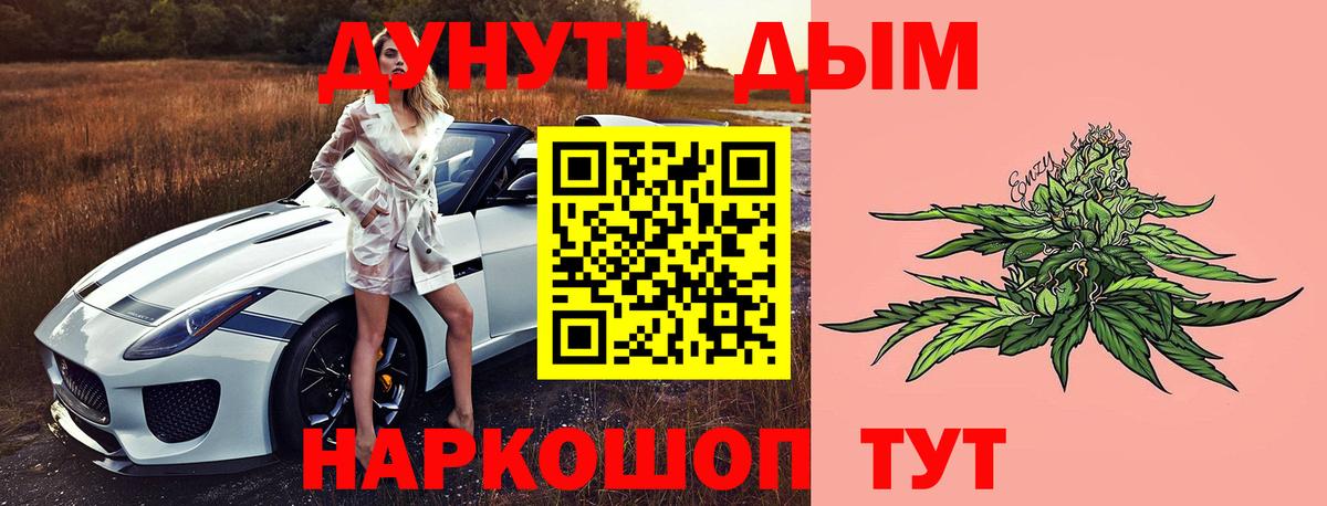 Бошки Шишки план  Бошки Шишки ГИДРОПОН  Канабис MAZAR  Электрогорск 